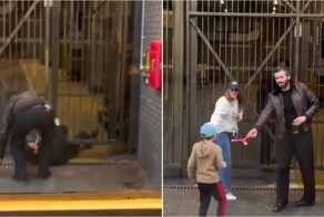 Он выбрал не самый очевидный путь