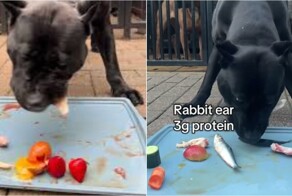 Сколько не дай, всё мало