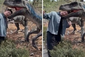 Мужчина пострадал от "динозавра"