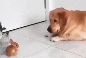 Просто гифки, всякие и&nbsp;разные