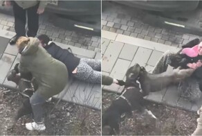 Псы сцепились на улице — разнимать пришлось радикально