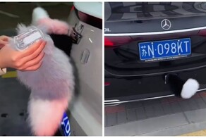 Машины с хвостами на дорогах в Китае