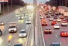 Напуганный щенок едва не погиб, когда перебегал дорогу