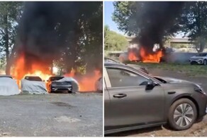 Боролся с тополиным пухом, а победил парковку с 20 автомобилями