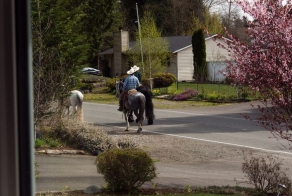 Грибная ферма. США. (21 фото)