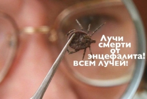 Что делать, если вас укусил клещ? (10 фото)