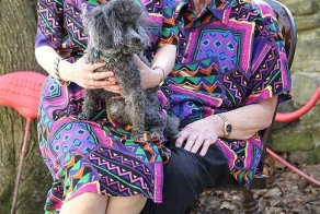 35 лет душа в душу и... (4 фото)