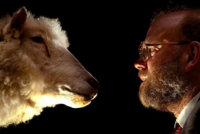 Клоны животных (12 фото)