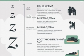 Инфографика: Интересные и полезные факты о дневном сне