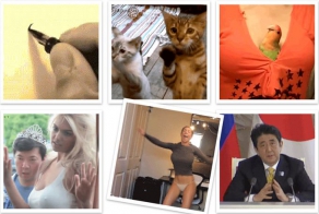 Анимахи. Часть 23 (20 гифок)