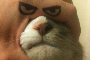 Больше, чем просто фотография. Часть 33. (50 фото)