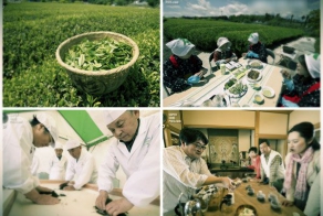 Безумный мир чая (15 фото)