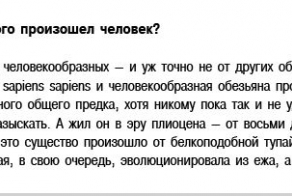 Опровержения из нашей жизни (6 фото)