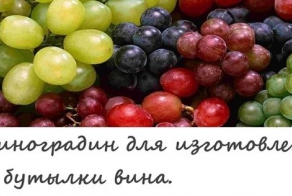Требуется... (8 фото)