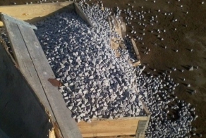 Что это такое? (4 фото)