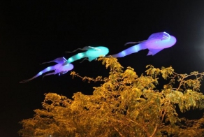 В Иерусалиме проходит фестиваль света (25 фото)