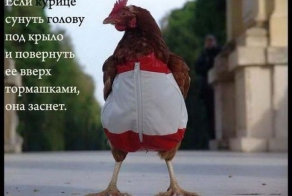 Интересные факты обо всем (16 фото)