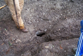 Неожиданное открытие в лесу (15 фото)