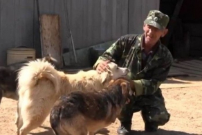 Ветеран ФСБ продал квартиру, чтобы построить приют для служебных собак (5 фото + 1 видео)