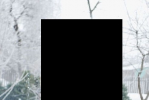 Легкий способ вырастить зеленый лук на подоконнике (3 фото)