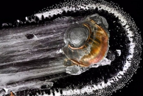 Как пуля разбивает органическое стекло (11 фото)