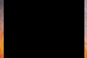 Человеческий глаз (1 фото)