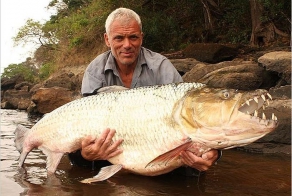 Удивительные речные рыбы (20 фото)