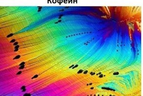 Как выглядят обычные вещи под микроскопом (11 фото)