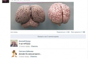 Прикольные и смешные комментарии из социальных сетей (30 фото)