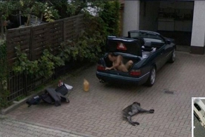 Интересные снимки от сервиса Google Street View (25 фото)