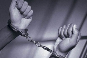 Преступники попались из-за собственной глупости (11 фото)