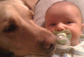 Настоящая дружба (24 фото)