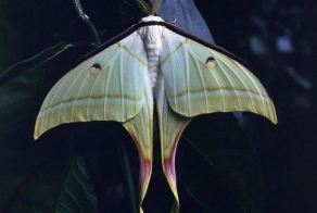 Факты про запахи (10 фото)