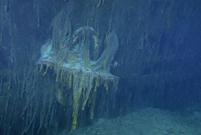 Детальные фотографии затонувшего Титаника (13 фото)