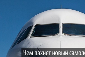 Самолет из коробки (31 фото + видео)