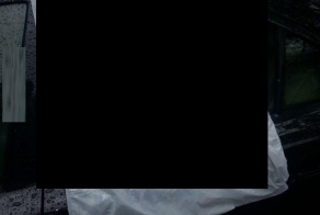 Всем таких соседей ! (1 фото)