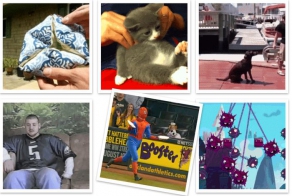 Анимахи. Часть 46 (20 гифок)