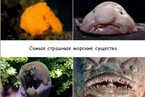 Самые страшные морские существа (11 фото)