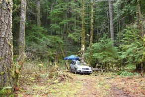 Травмоопасный отдых на автомобиле в лесу (5 фото)