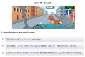 Прикольные экзаменационные вопросы в ГАИ + бонус (34 фото)
