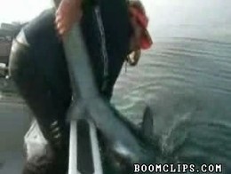 Подборка роликов