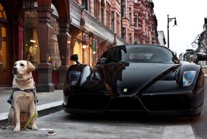 Подборка крутых суперкаров. Часть 3. (97 фото)