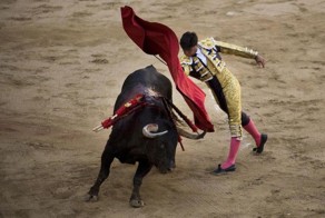 Коррида в Барселоне (13 фото)