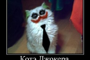 Смешной демотиватор от zubrilov за 26.08.2011 №86465