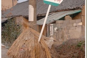 Разнообразные автобусные остановки со всего мира (18 фото)