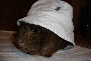 Юмор прикол