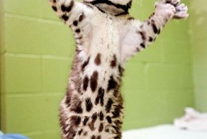 Фотоальбом