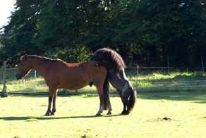 Зачетное фото