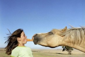 Фотоприкол онлайн бесплатно