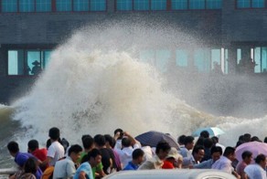 Бесплатно фото